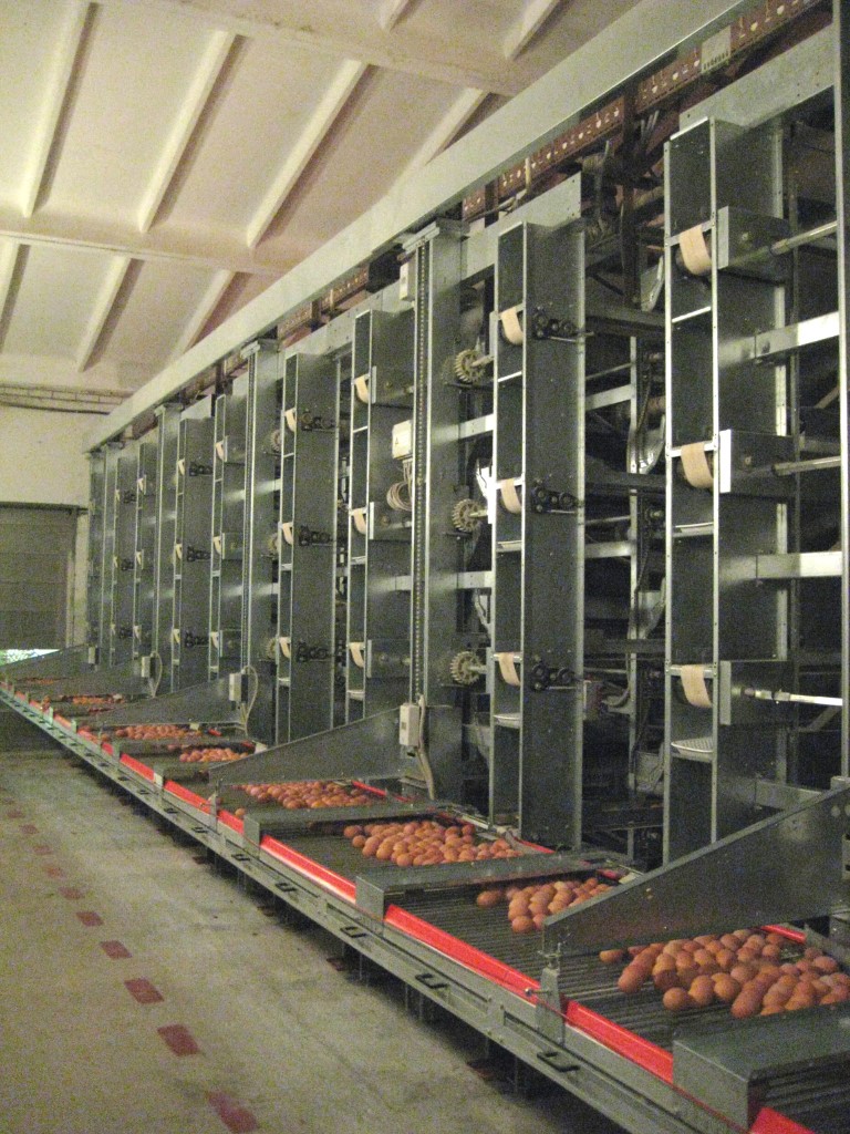 portfolio item image