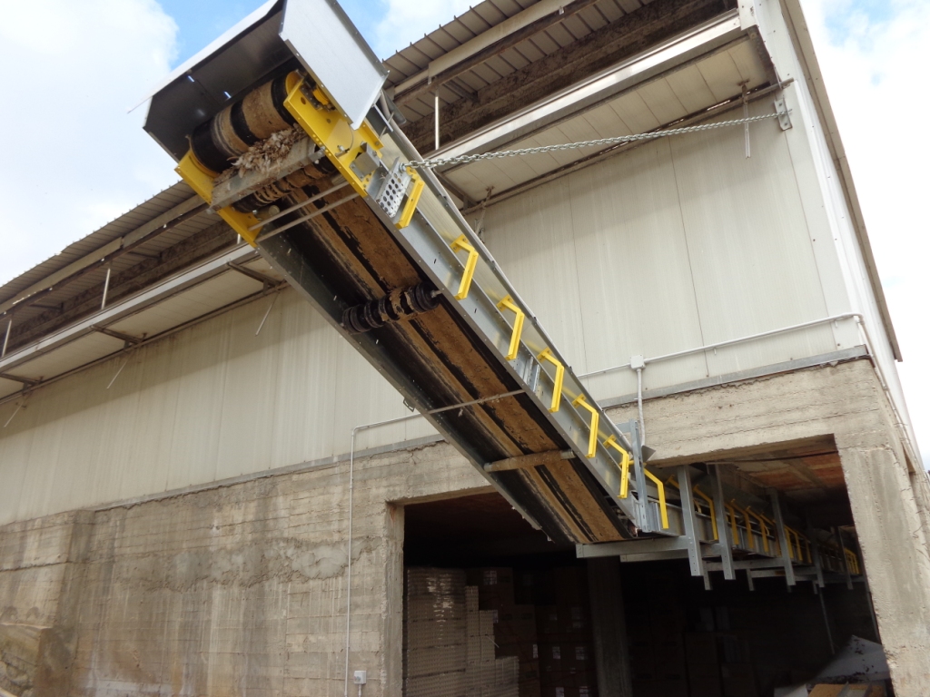 portfolio item image