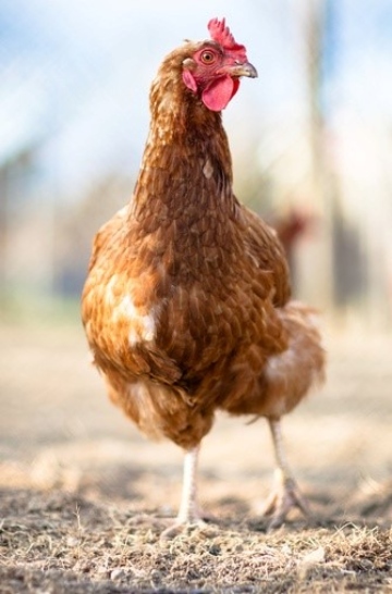 team member portrait