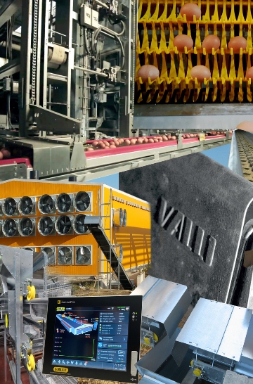 team member portrait